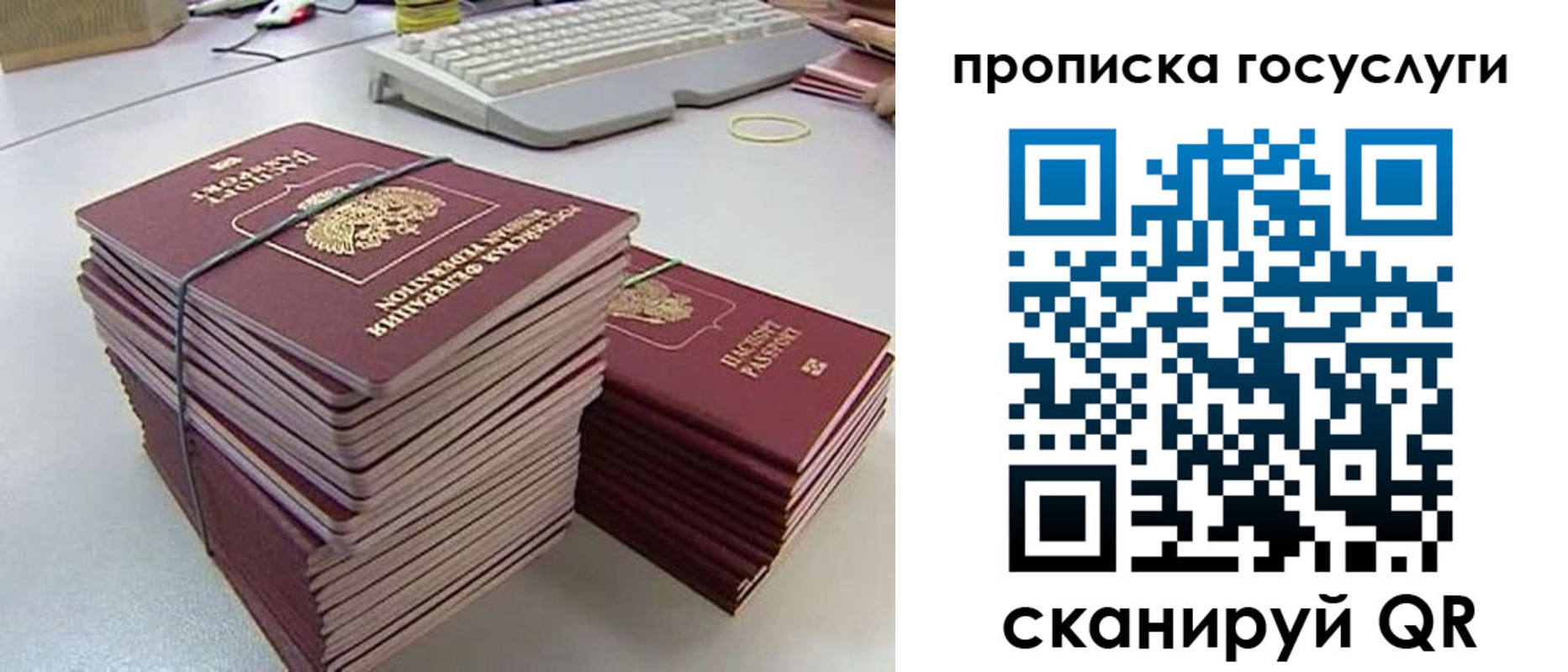 временная регистрация для школы в Волосово